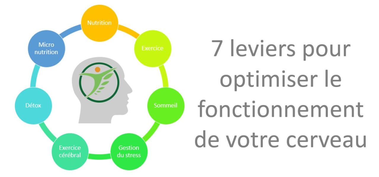 7 leviers pour optimiser le fonctionnement de votre cerveau