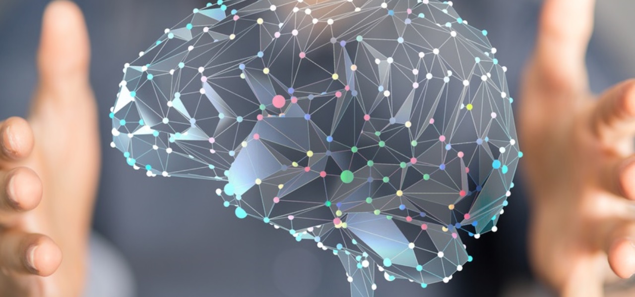 eBook : Tout ce que vous devez savoir sur le fonctionnement de votre cerveau