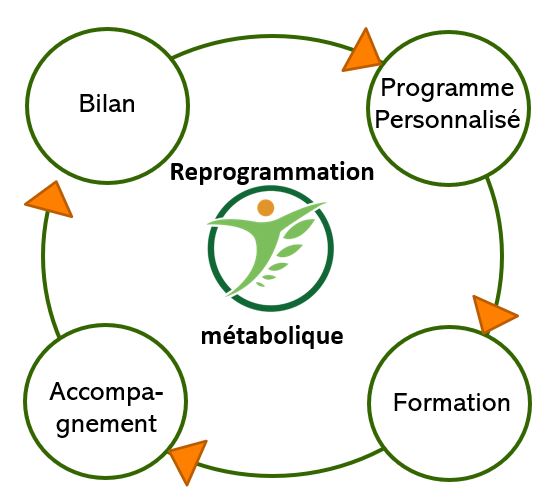 Méthode de reprogrammation métabolique bilan programme personnaliser accompagnement