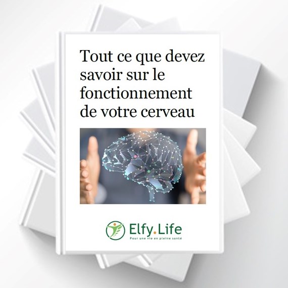 eBook Cerveau